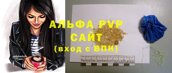 хмурый Пересвет