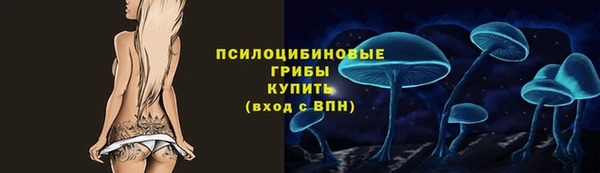 скорость Алзамай
