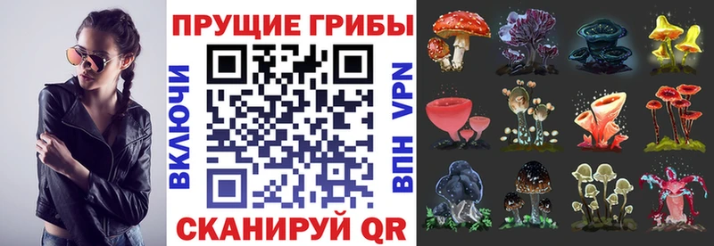 Псилоцибиновые грибы прущие грибы  купить   Похвистнево 