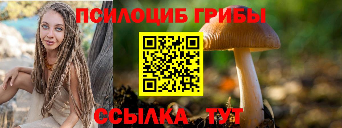 Псилоцибиновые грибы Psilocybe  Вход с VPN  где купить наркоту  Похвистнево 