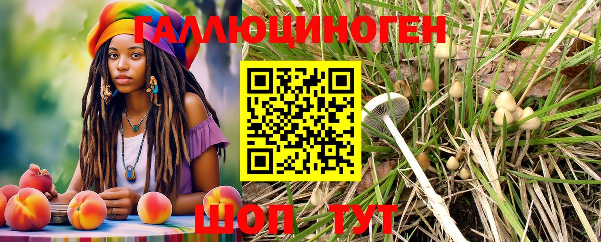 Галлюциногенные грибы MAGIC MUSHROOMS Похвистнево